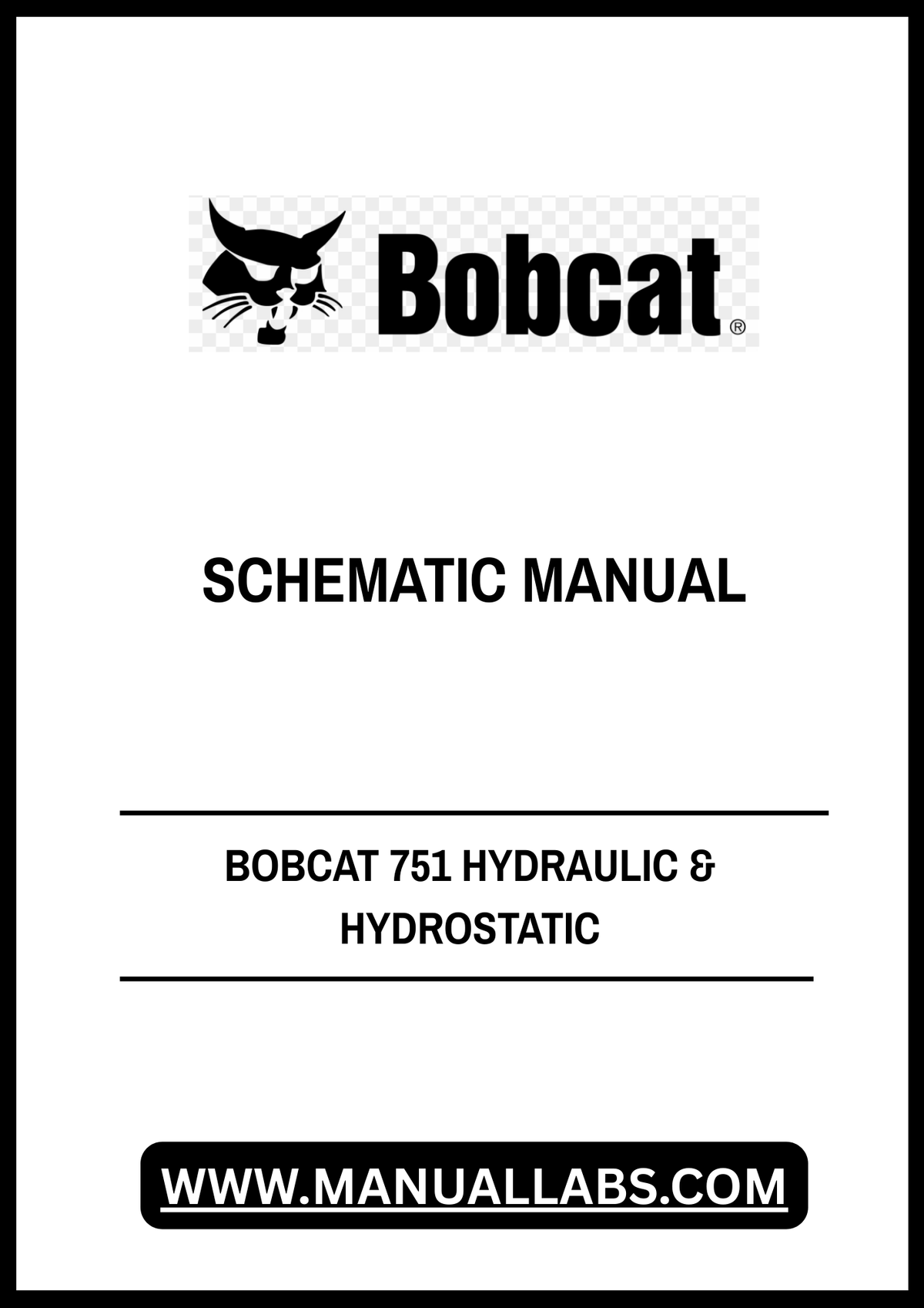 BOBCAT 751 HYDRAULIC & HYDROSTATIC SCHEMATIC MANUAL 6900975 - PDF FILE